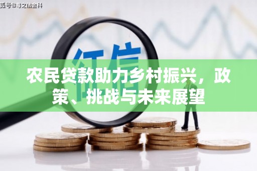 宾阳农民贷款助力乡村振兴，政策、挑战与未来展望