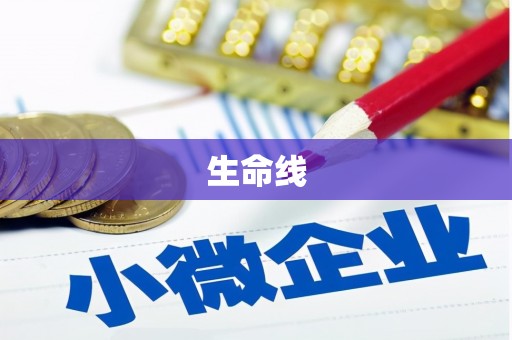宾阳生命线
