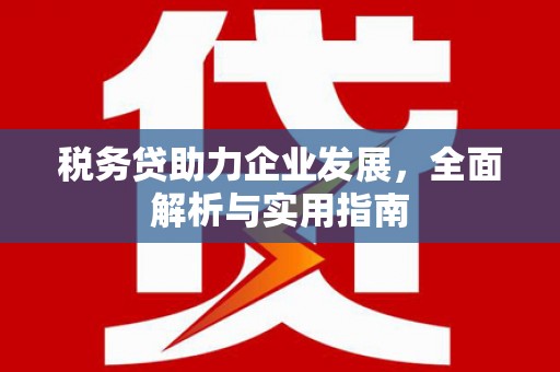 宾阳税务贷助力企业发展，全面解析与实用指南