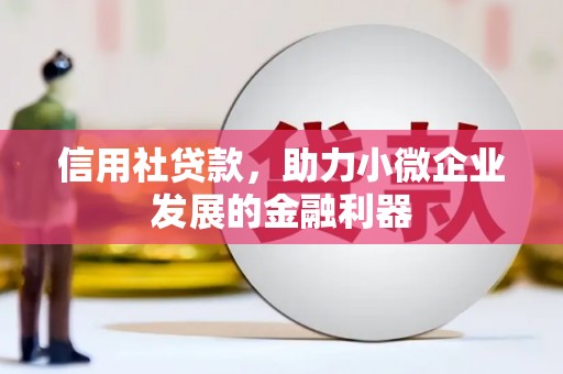 宾阳信用社贷款，助力小微企业发展的金融利器