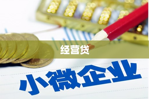 宾阳经营贷
