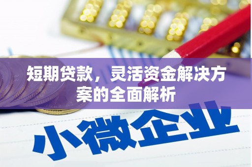 宾阳短期贷款，灵活资金解决方案的全面解析