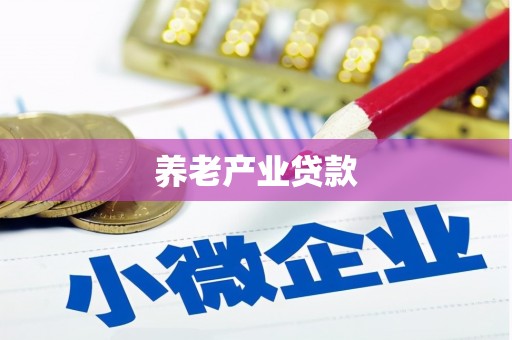 宾阳养老产业贷款