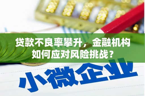 宾阳贷款不良率攀升，金融机构如何应对风险挑战？