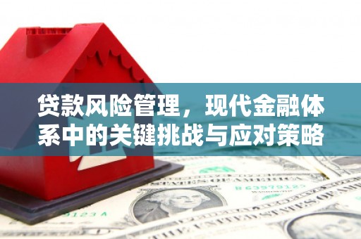 宾阳贷款风险管理，现代金融体系中的关键挑战与应对策略