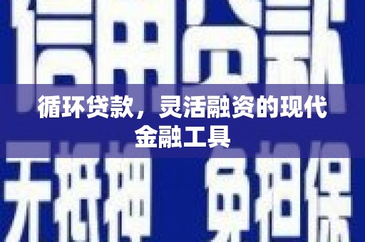 宾阳循环贷款，灵活融资的现代金融工具