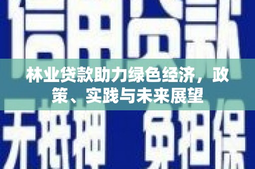 宾阳林业贷款助力绿色经济，政策、实践与未来展望