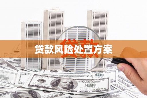 宾阳贷款风险处置方案
