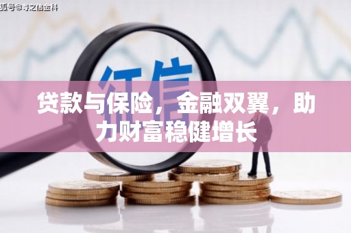 宾阳贷款与保险，金融双翼，助力财富稳健增长