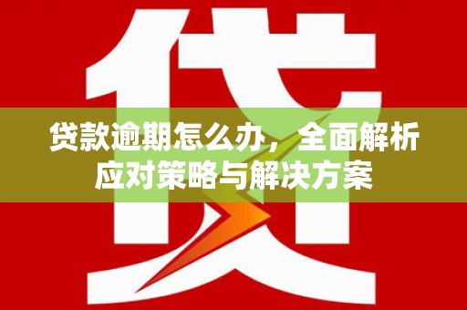 宾阳贷款逾期怎么办，全面解析应对策略与解决方案