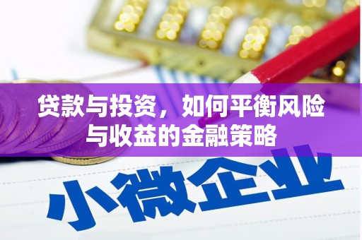 宾阳贷款与投资，如何平衡风险与收益的金融策略