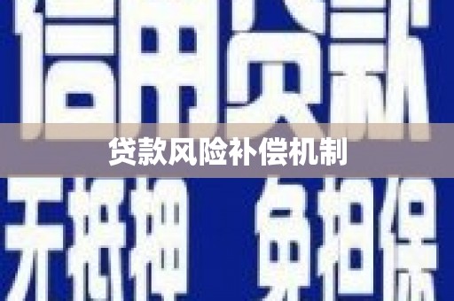 宾阳贷款风险补偿机制