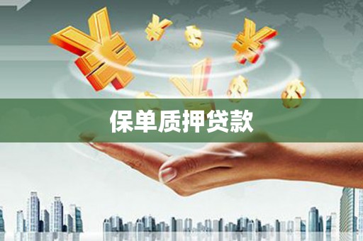 宾阳保单质押贷款