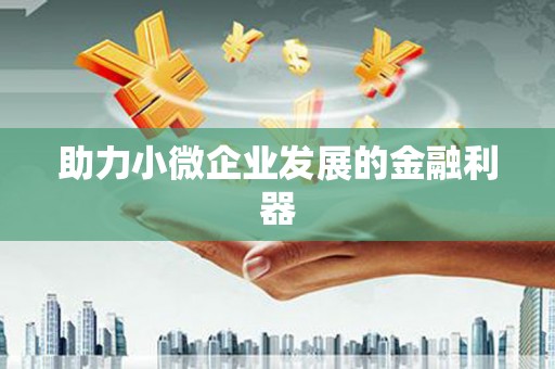 宾阳助力小微企业发展的金融利器