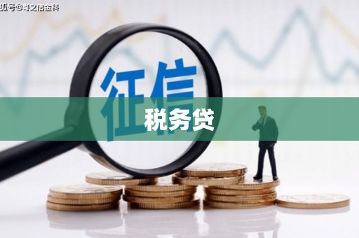 宾阳税务贷
