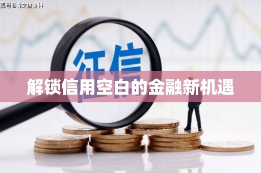 宾阳解锁信用空白的金融新机遇