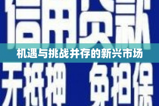 宾阳机遇与挑战并存的新兴市场