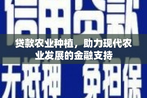 宾阳贷款农业种植，助力现代农业发展的金融支持