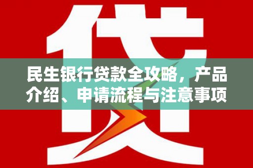 宾阳民生银行贷款全攻略，产品介绍、申请流程与注意事项